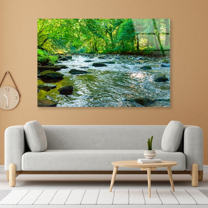 Along The River Barle in Tarr Steps Woodland Acrylic Glass Print Tempered Glass Wall Art 100% Made in Australia Ready to Hang