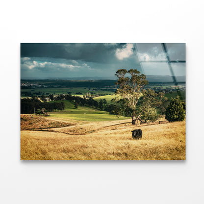 View of Grassland with Trees, Mountains & Sky Acrylic Glass Print Tempered Glass Wall Art 100% Made in Australia Ready to Hang