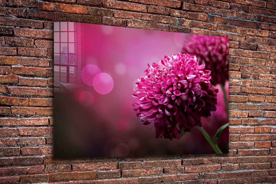 Pink Flower Closeup UV Direct Aluminum Print Australian Made Quality