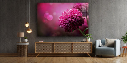 Pink Flower Closeup UV Direct Aluminum Print Australian Made Quality