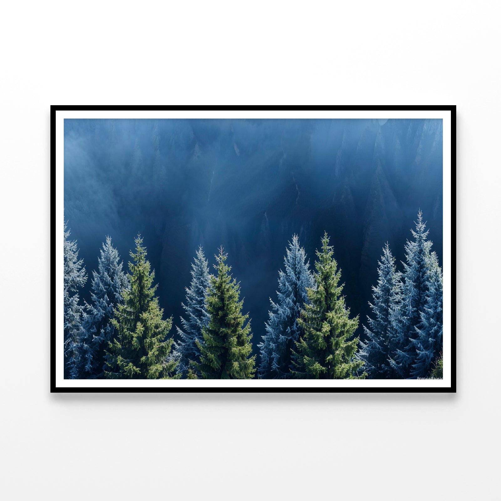 Forest Of Pine Trees Home Decor Premium Quality Poster Print Choose Your Sizes - Bella Home Decor