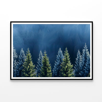 Forest Of Pine Trees Home Decor Premium Quality Poster Print Choose Your Sizes - Bella Home Decor