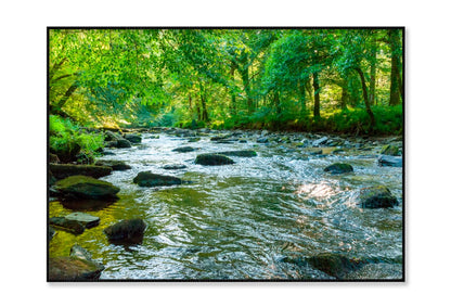 Along The River Barle in Tarr Steps Woodland Home Decor Premium Quality Poster Print Choose Your Sizes