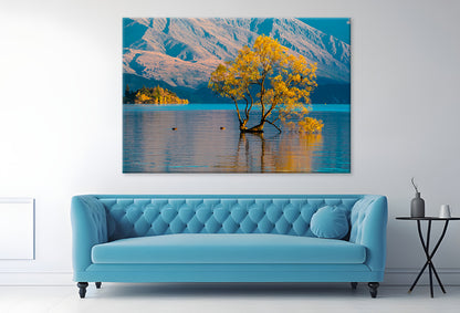 Morning Grass on Water Wall Art Decor 100% Australian Made - Bella Home Decor
