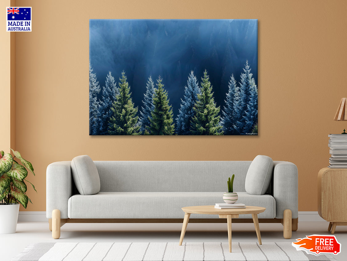 Forest Of Pine Trees Print 100% Australian Made - Bella Home Decor