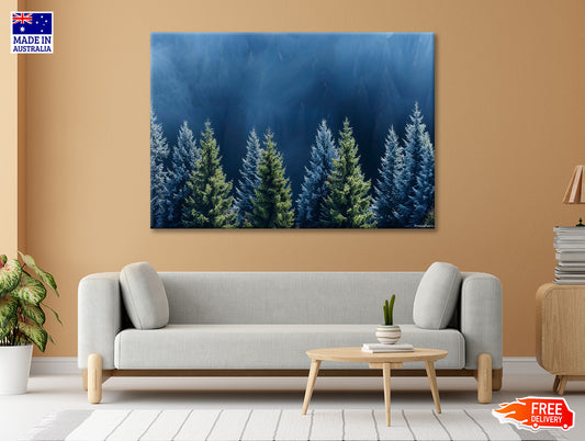 Forest Of Pine Trees Print 100% Australian Made - Bella Home Decor