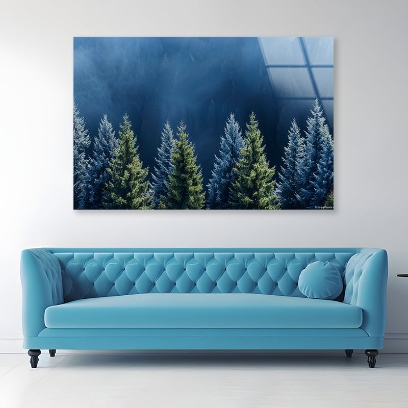 Forest Of Pine Trees Acrylic Glass Print Tempered Glass Wall Art 100% Made in Australia Ready to Hang - Bella Home Decor