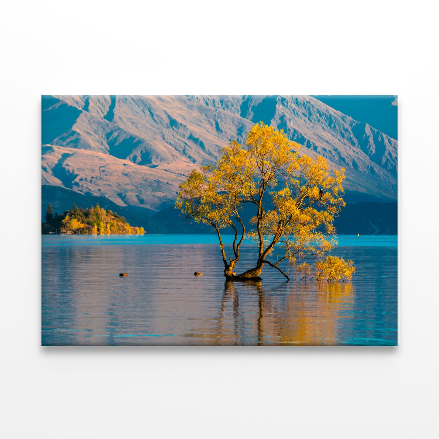 Morning Grass on Water Wall Art Decor 100% Australian Made - Bella Home Decor