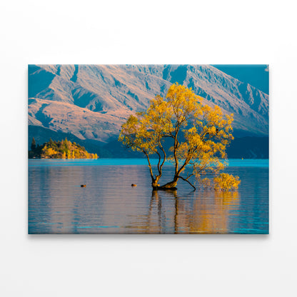 Morning Grass on Water Wall Art Decor 100% Australian Made - Bella Home Decor