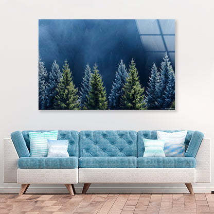 Forest Of Pine Trees Acrylic Glass Print Tempered Glass Wall Art 100% Made in Australia Ready to Hang - Bella Home Decor