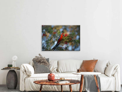Crimson Rosella Australian Bird Wall Art Decor 100% Australian Made