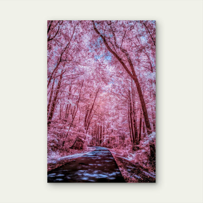 Enchanting Cherry Blossom Tunnel 60x90cm Metal Print Ready to Hang
