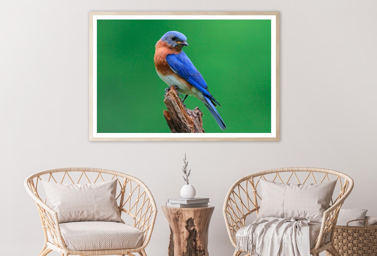 Blue Bird Sitting on Top of a Tree Branch Home Decor Premium Quality Poster Print Choose Your Sizes - Bella Home Decor