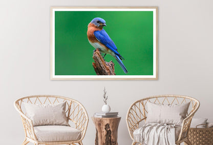 Blue Bird Sitting on Top of a Tree Branch Home Decor Premium Quality Poster Print Choose Your Sizes - Bella Home Decor