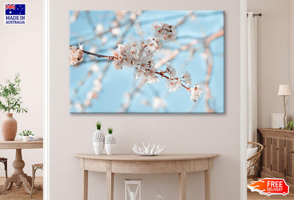 Close-Up Of the Blossoming Branch in Spring Wall Art Decor 100% Australian Made