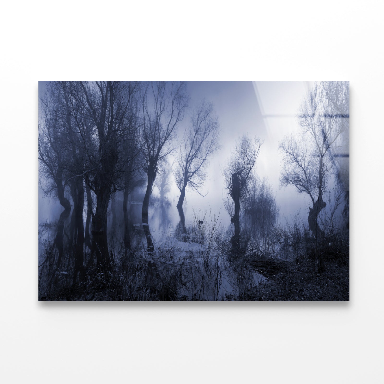 Misty Dark Swamp in autumn Acrylic Glass Print Tempered Glass Wall Art 100% Made in Australia Ready to Hang - Bella Home Decor