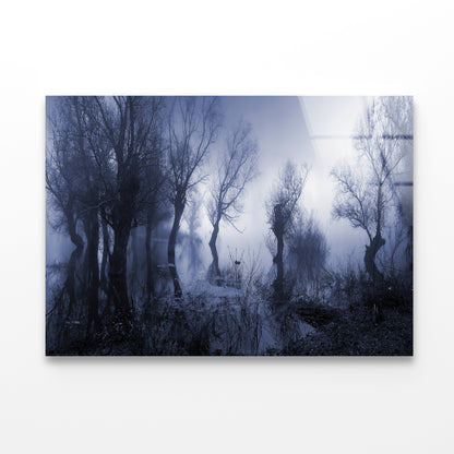 Misty Dark Swamp in autumn Acrylic Glass Print Tempered Glass Wall Art 100% Made in Australia Ready to Hang - Bella Home Decor