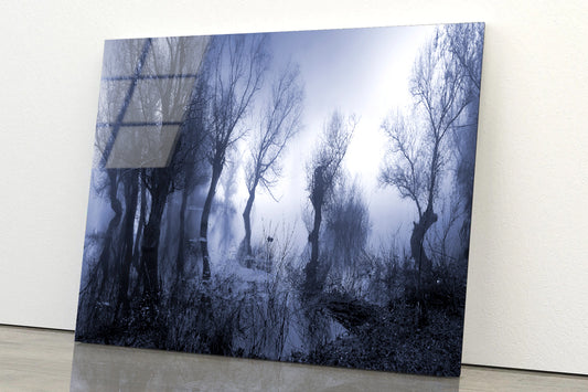 Misty Dark Swamp in autumn Acrylic Glass Print Tempered Glass Wall Art 100% Made in Australia Ready to Hang - Bella Home Decor