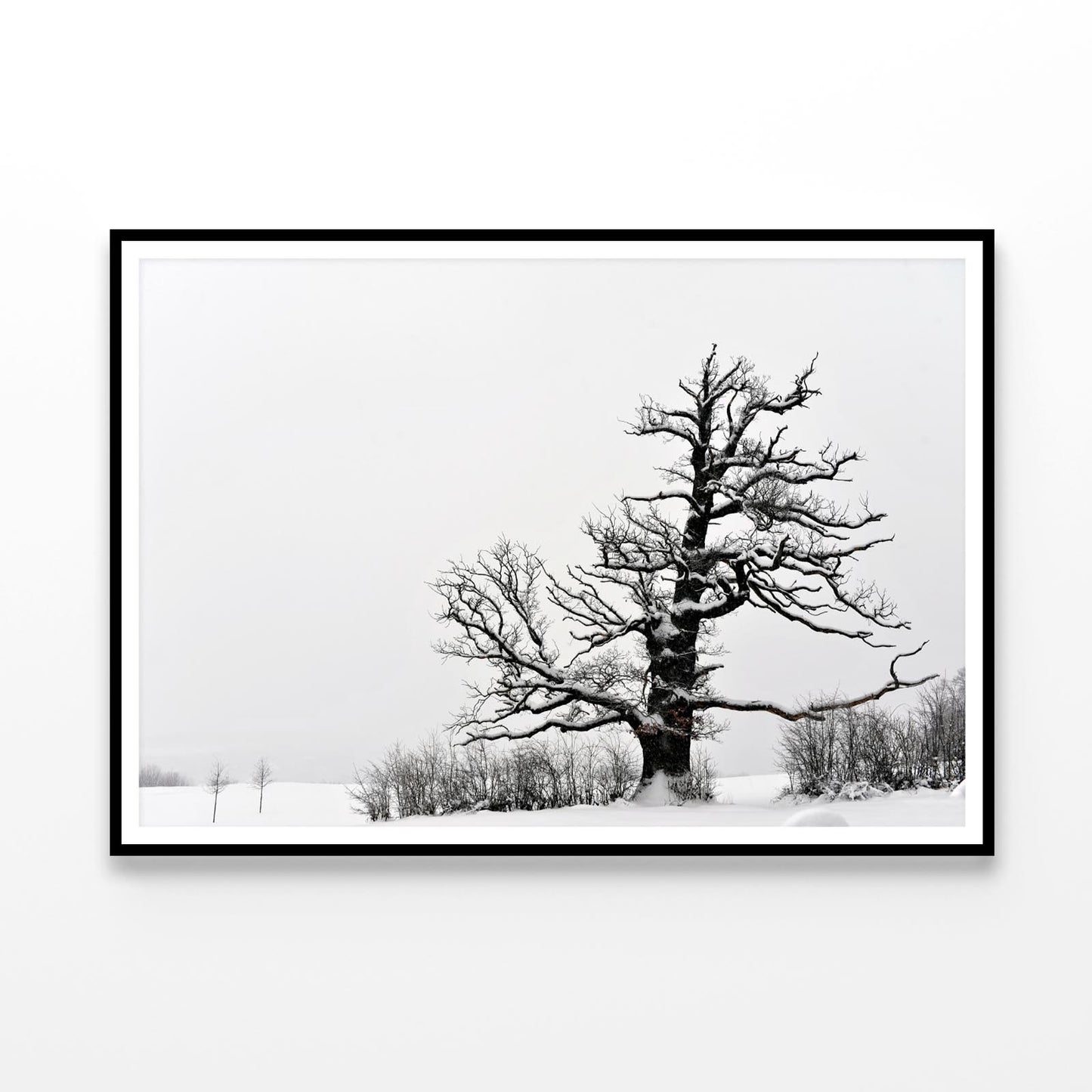 Oak Tree Winter Home Decor Premium Quality Poster Print Choose Your Sizes