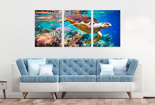 3pcs Sea Turtle Swimming Coral Reefs  Wall Art Set Canvas Unframed - High Quality Print 100% Australian Made Wall Canvas