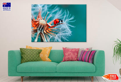 Lady Bug On A Flower Close Up Print 100% Australian Made