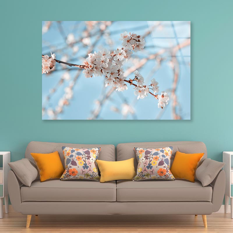 Close-Up Of the Blossoming Branch in Spring Acrylic Glass Print Tempered Glass Wall Art 100% Made in Australia Ready to Hang - Bella Home Decor