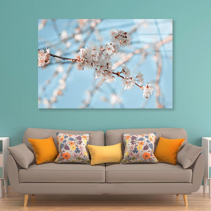 Close-Up Of the Blossoming Branch in Spring Acrylic Glass Print Tempered Glass Wall Art 100% Made in Australia Ready to Hang - Bella Home Decor