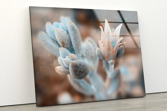 Flower View Photograph UV Direct Aluminum Print Australian Made Quality