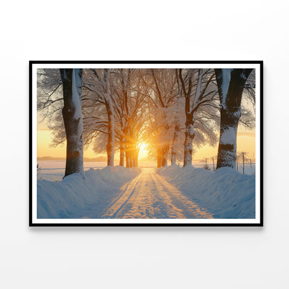Winter with Tree Alley at Sunset Home Decor Premium Quality Poster Print Choose Your Sizes - Bella Home Decor