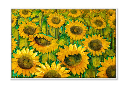 Sunflower Field Closeup Oil Painting Wall Art Limited Edition High Quality Print Canvas Box Framed White