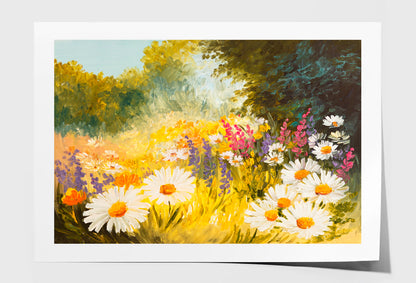 Field Of Daisies Oil Painting Wall Art Limited Edition High Quality Print Unframed Roll Canvas None