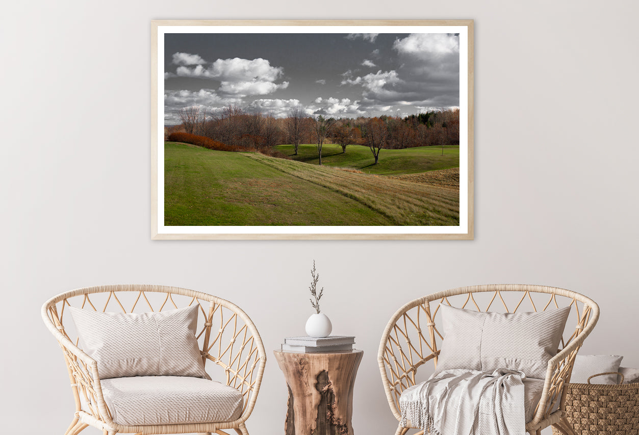 Tree Scenery with Black & White Sky Home Decor Premium Quality Poster Print Choose Your Sizes