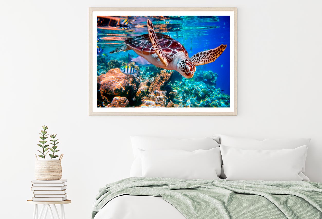 Turtle Swimming in The Ocean with Fish Home Decor Premium Quality Poster Print Choose Your Sizes