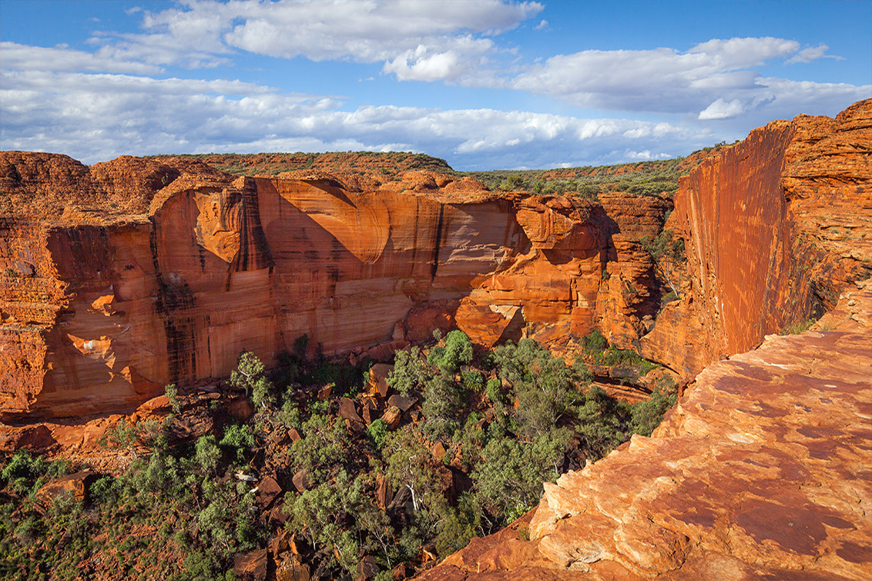 Kings Canyon Northern Territory Panoramic View Wall Art Decor 100% Australian Made