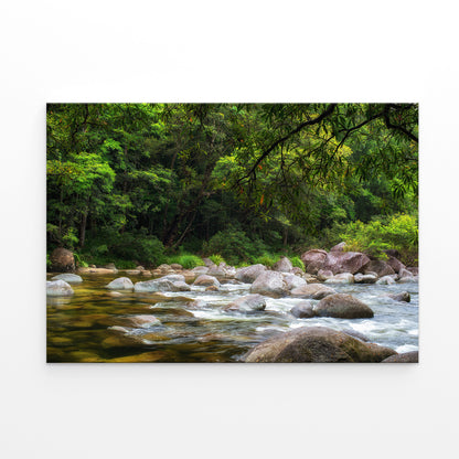 Daintree Rainforest Queensland Mossman River Hiking Wall Art Decor 100% Australian Made