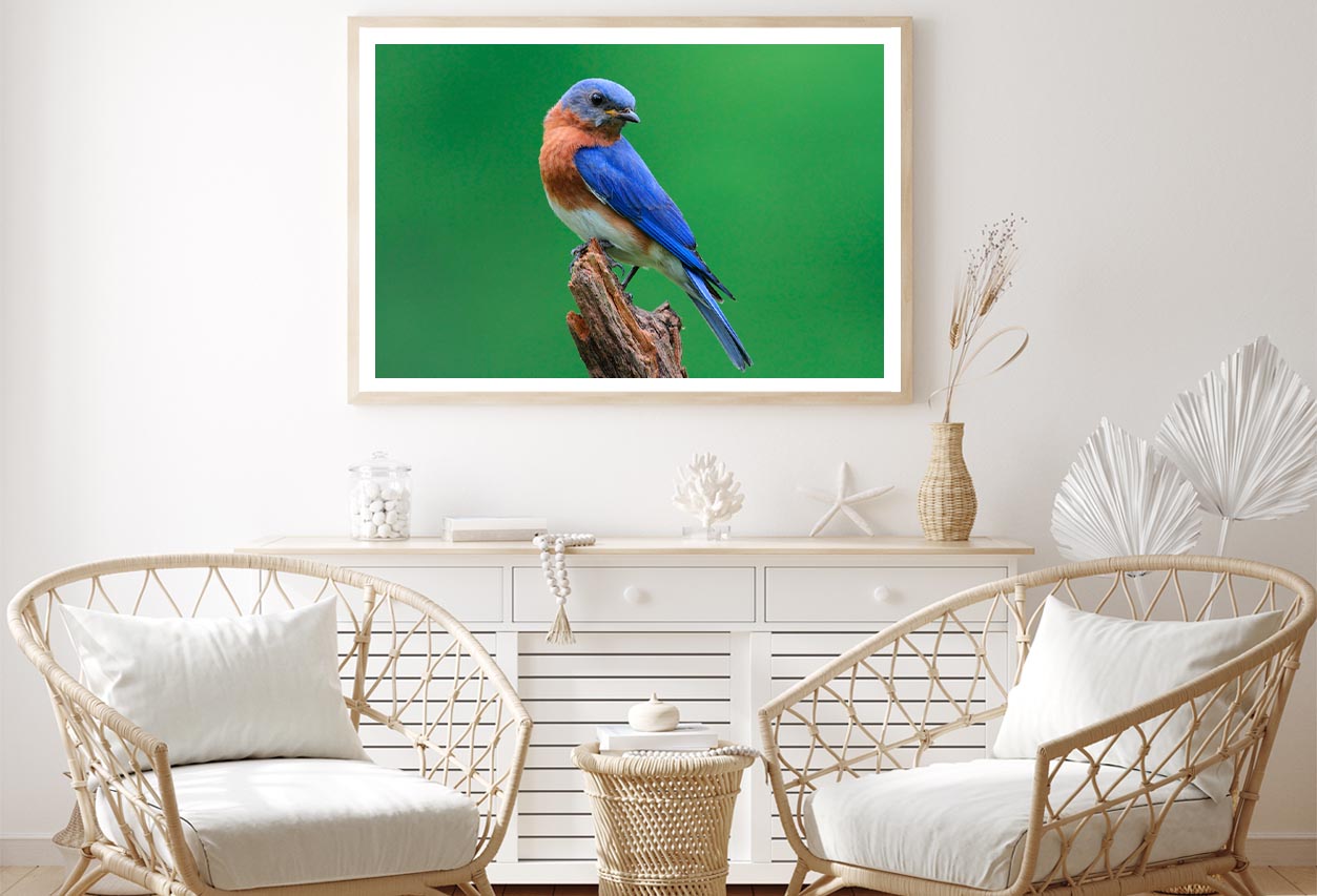 Blue Bird Sitting on Top of a Tree Branch Home Decor Premium Quality Poster Print Choose Your Sizes - Bella Home Decor