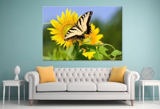 Butterfly Pollen Large Sunflower Wall Art Decor 100% Australian Made