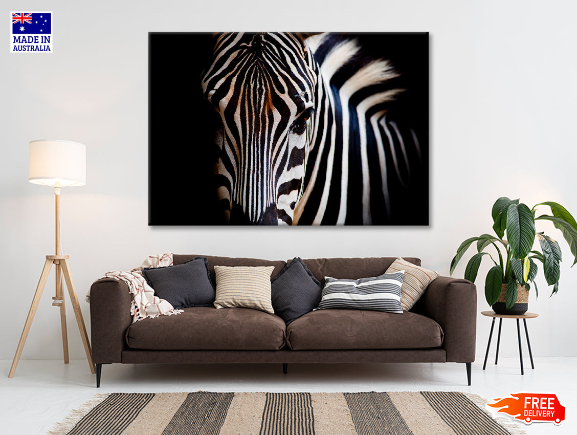 Wild Zebra in Black Background Print 100% Australian Made