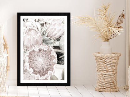 Protea Flowers Closeup Faded Photograph Glass Framed Wall Art, Ready to Hang Quality Print With White Border Black