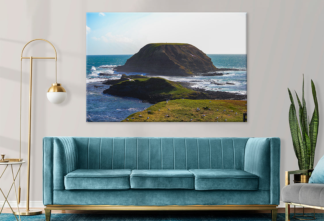 Phillip Island Victoria The Nobbies Wall Art Decor 100% Australian Made