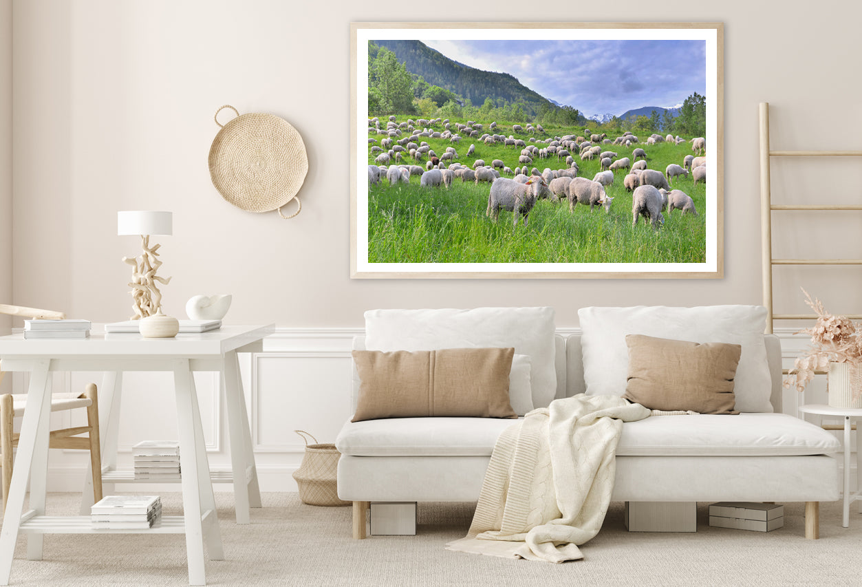Flock of Sheep in Greenery Grassland at spring Home Decor Premium Quality Poster Print Choose Your Sizes - Bella Home Decor