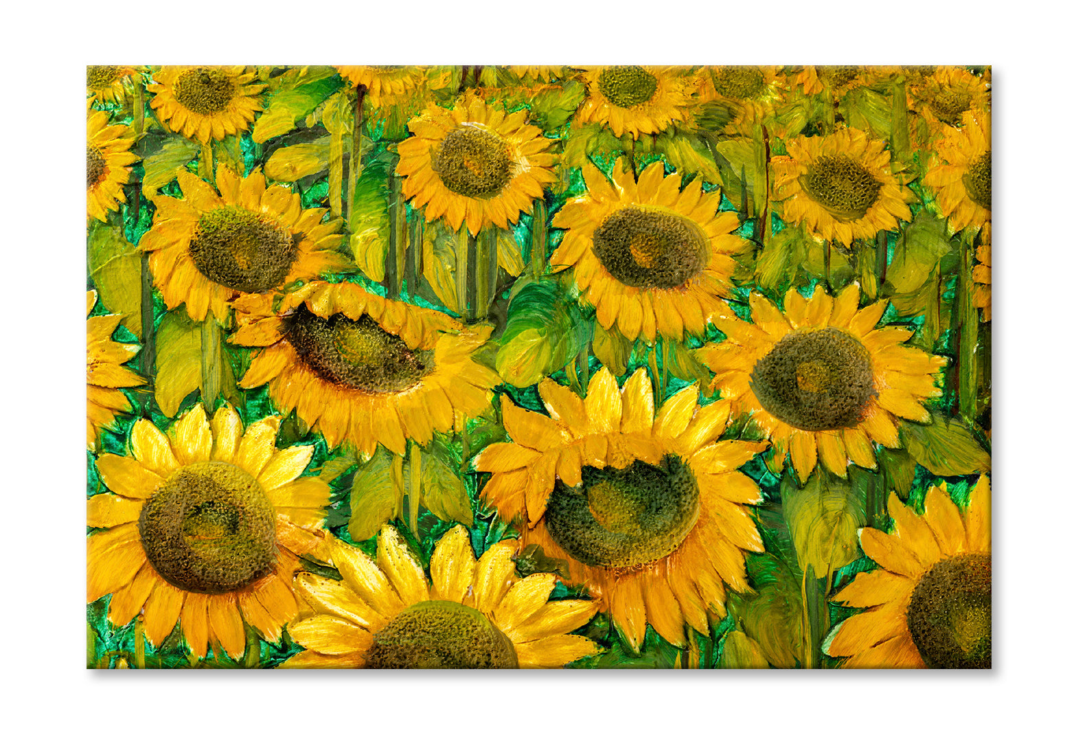 Sunflower Field Closeup Oil Painting Wall Art Limited Edition High Quality Print Stretched Canvas None