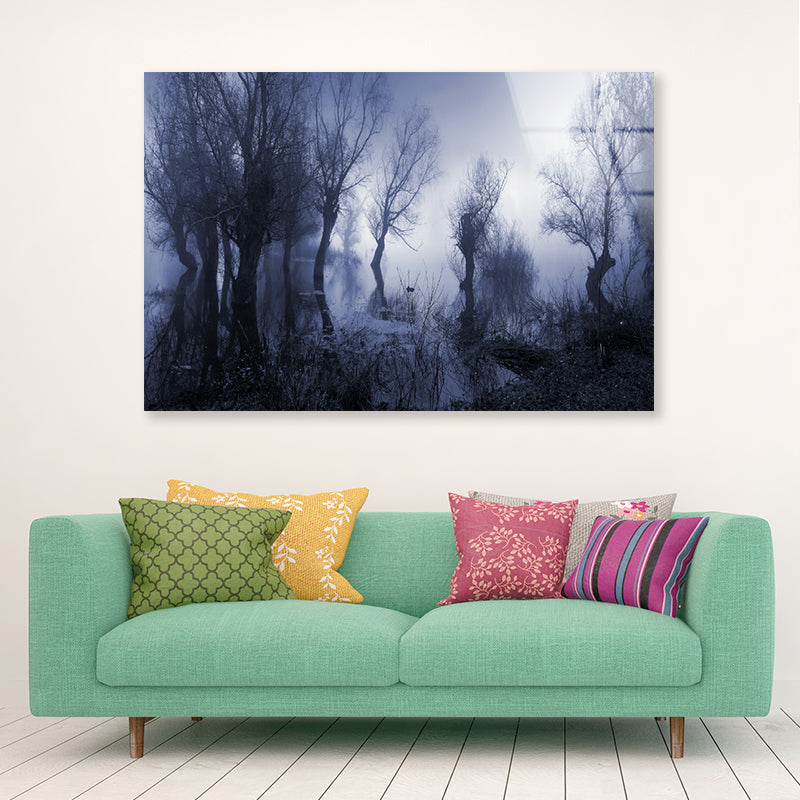 Misty Dark Swamp in autumn Acrylic Glass Print Tempered Glass Wall Art 100% Made in Australia Ready to Hang - Bella Home Decor