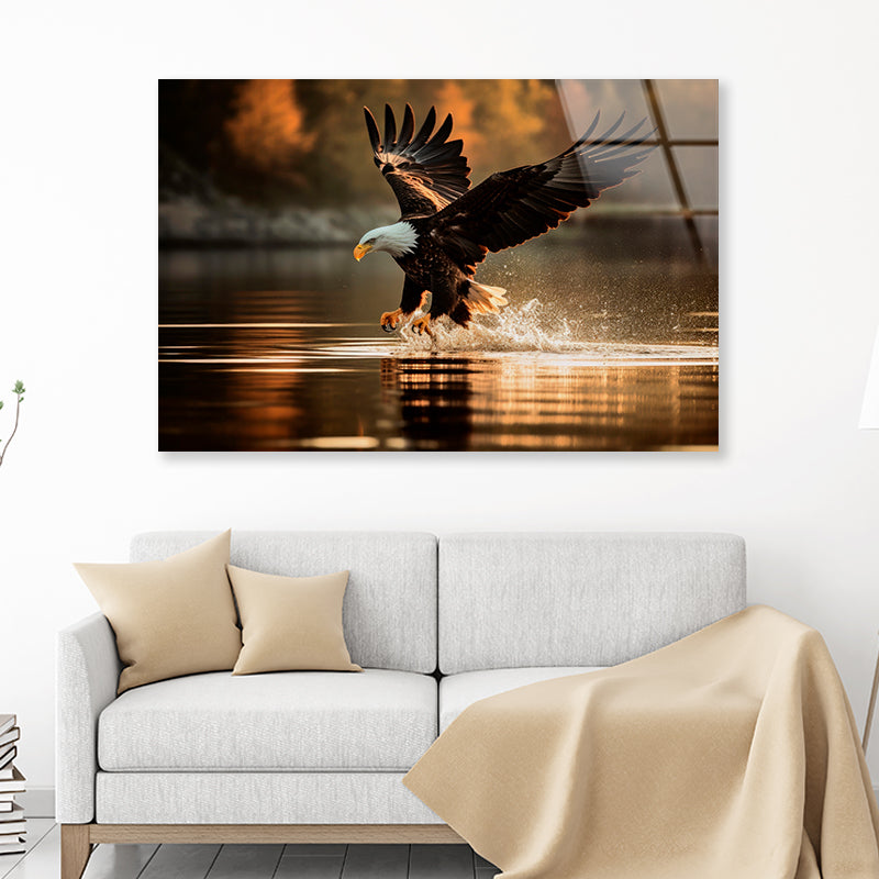 Eagle Flight Sunset River Forest Scenery Acrylic Glass Print Tempered Glass Wall Art 100% Made in Australia Ready to Hang
