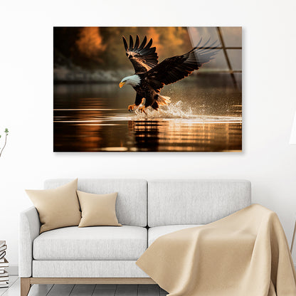 Eagle Flight Sunset River Forest Scenery Acrylic Glass Print Tempered Glass Wall Art 100% Made in Australia Ready to Hang