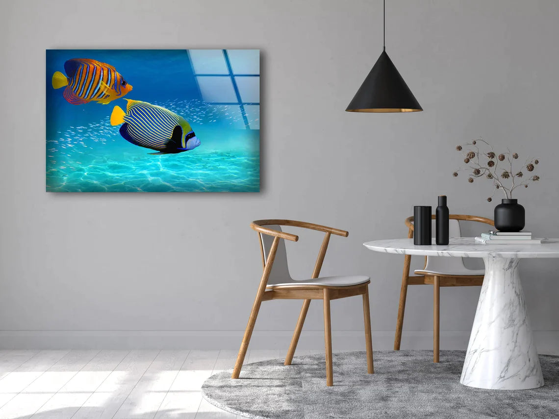 Colorful Fish in Sea UV Direct Aluminum Print Australian Made Quality