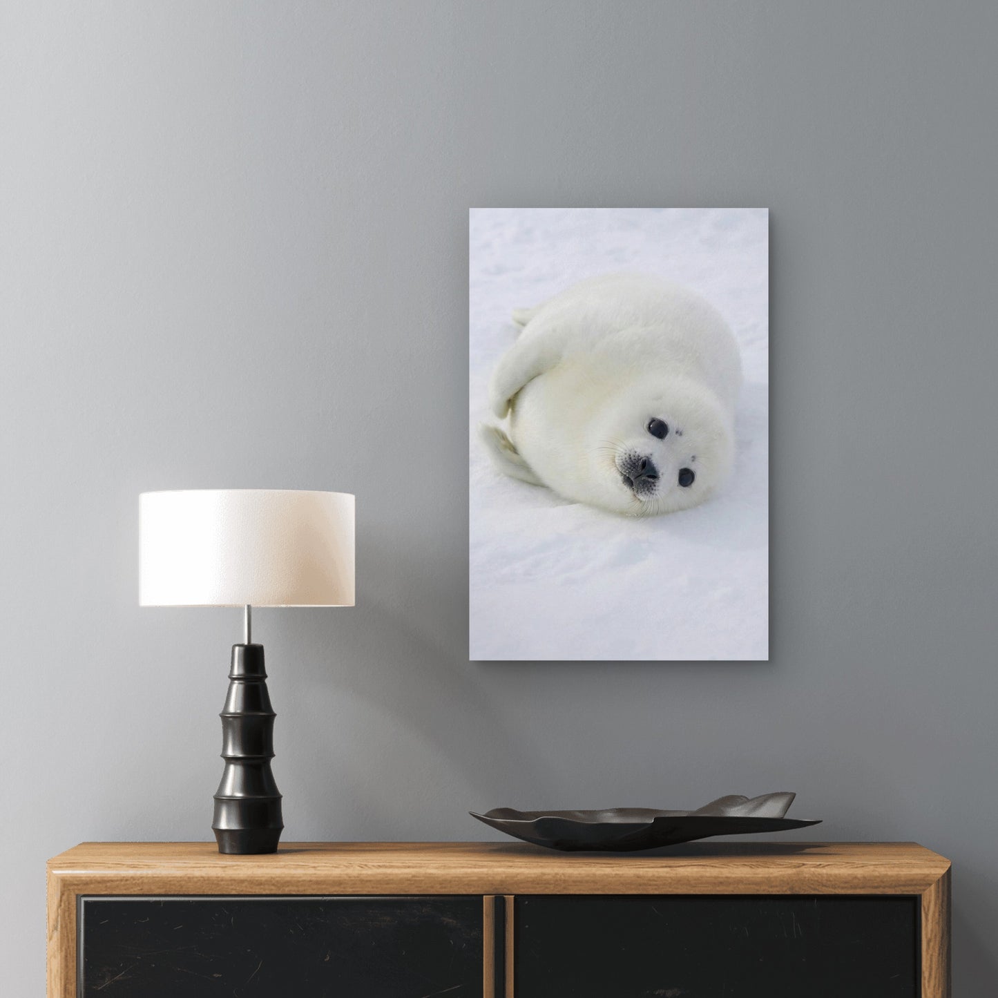 Baby Harp Seal Arctic 60x90cm Metal Print Ready to Hang