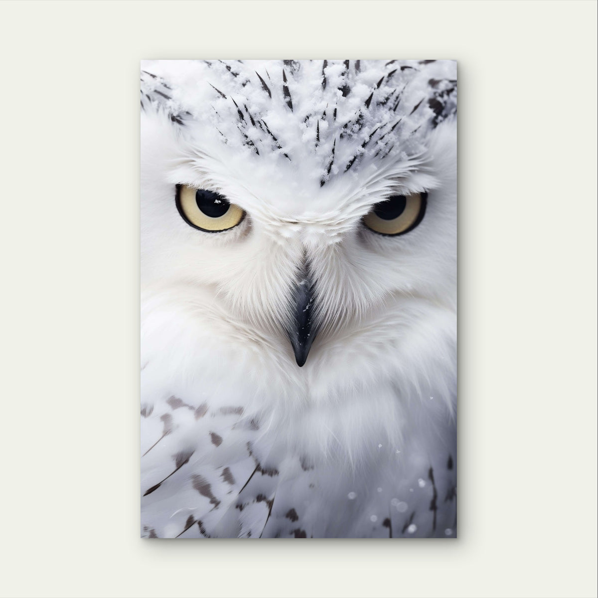 White Arctic Owl Eyes Feather Wildlife 40x60cm Metal Print Ready to Hang