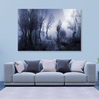 Misty Dark Swamp in autumn Acrylic Glass Print Tempered Glass Wall Art 100% Made in Australia Ready to Hang - Bella Home Decor
