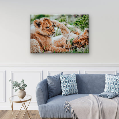 Lion Cubs Playing African Wildlife Nature Wall Art Decor 100% Australian Made